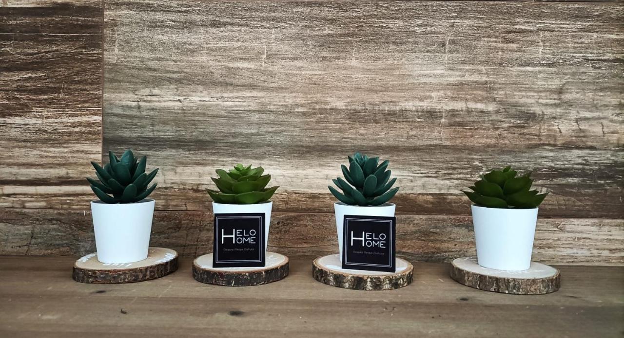 Helohome Huetor Vega Luaran gambar